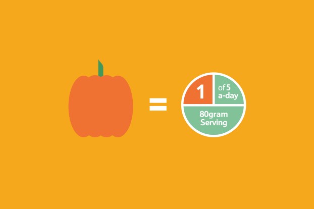 Pumpkins_oneoffiveaday