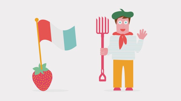 StrawberryFrenchGardenTHIS